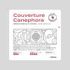 Couverture Canephora - Filter Roast - Pre-Order Now — light roast Robusta coffee from Pulneys, Tamil Nadu