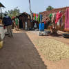 Kora Zinfandel - Roasted on 19/05 — Medium roast Arabica coffee from Koraput