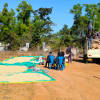 Kora Zinfandel - Roasted on 19/05 — Medium roast Arabica coffee from Koraput