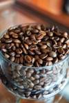 balmadi beans -3