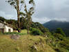 Shire — Medium roast Arabica coffee from Biligirirangan Hills