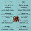 Bodhisattva Blend — Roast Level roast Blend + Chicory coffee