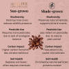 Genesis Brew — medium roast roast Blend coffee from Coorg, Karnataka