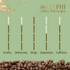 Socrates' Cup — Roast Level roast Blend coffee from Coorg, Karnataka
