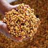 ChatGPT Image Sep 4, 2026, 01_38_10 PM