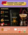 Ct Estate – Caramelized Lychee (Yellow Honey Process) — Light Plus roast Arabica coffee from Chikmagalur, Karnataka
