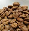 Forbidden Orchard - CIMA Yeast - Naturals — Light roast Arabica coffee from Chikmagalur