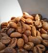 Frozen Cherry Imperial - Jannapura Estate — Light Plus roast Arabica coffee from Chikmagalur