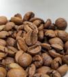 Jaggery Trail - Honey Process — Light Plus roast Arabica coffee from Sakleshpur, Karnataka