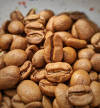 Kardigandi Bright Zest – Naturals - Value — Light Plus roast Arabica coffee from Mudigere
