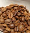 Kalyancool Maharani — Light Plus roast Arabica coffee from Chikmagalur