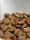 Mosto Magic - Honey Process — Light roast Arabica coffee from Karnataka