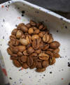 Shillong Spice Rush - Naturals — Light Plus roast Arabica coffee from Shillong