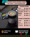 Washed Gold - Lactic Ferment - Value — Light Plus roast Arabica coffee