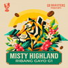 Ribang Gayo Naturals — Arabica coffee from Indonesia