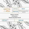 ANITYA _ अनित्य