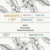 SHOONYA _ शून्य