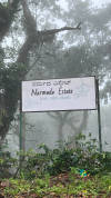 Ārabhi — Arabica coffee from Chikmagalur
