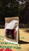 Mind = Blown — light roast roast Arabica coffee