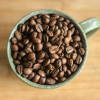 Hazelnut — medium roast Arabica coffee