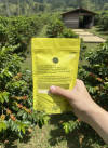 Royale Medium Roast — medium roast Arabica coffee from Kodaikanal