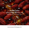 Shadow Nectar — Medium roast Arabica coffee from Tamil Nadu