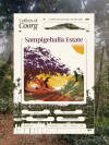 Sampigehalla Estate — coffee from Coorg