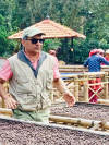 Sampigehalla Estate — coffee from Coorg