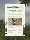 Sree Ram Estate, Thora — medium roast roast coffee from Thora