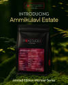 Ammikulavi Estate — light roasted roast Arabica coffee from Tamil Nadu