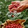 Output-Logo With Beans