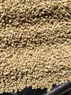 Washed (Light - Medium) — Light - Medium roast Arabica coffee