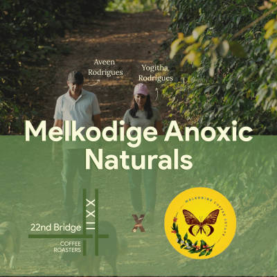 Melkodige Anoxic Naturals by 22nd Bridge Coffee Roasters
