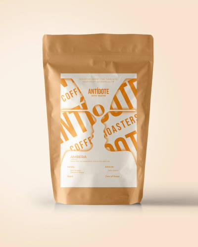 Amber by Antidote Coffee Roasters