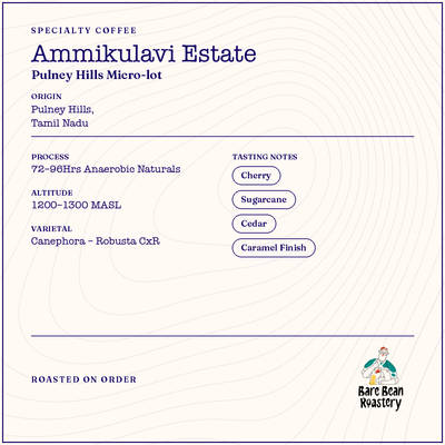 Ammikulavi Estate – 72-96hrs Anaerobic Natural Canephora by Bare Bean Roastery