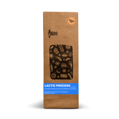 Lactic Process by Black Baza Coffee