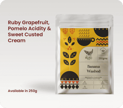 Banana Washed by Classic Coffees