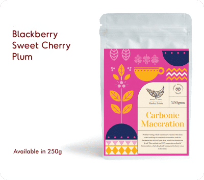 Carbonic Maceration by Classic Coffees