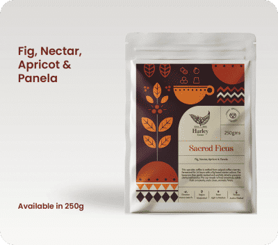 Sacred Ficus by Classic Coffees