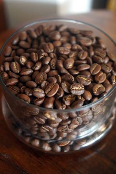 Julien Peak Forest by Coffee Ideas (Formerly Marc's Coffee)