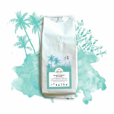 Monsooned Bloom by Coffee Plus