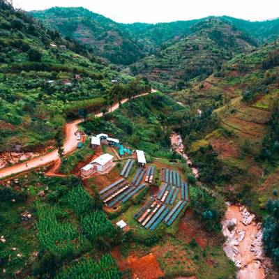 Shyira, Rwanda – Filter by Curious Life Coffee