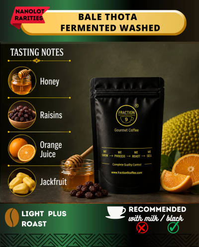 Fermented Washed — Bale Thota by Fraction 9 Coffee