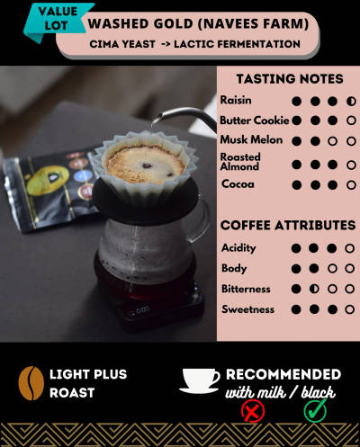 Washed Gold - Lactic Ferment - Value by Fraction 9 Coffee