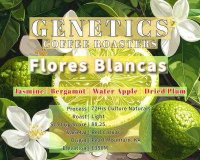 Flores Blancas by Genetics Coffee