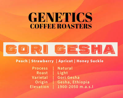 Gori Gesha - Ethiopia by Genetics Coffee