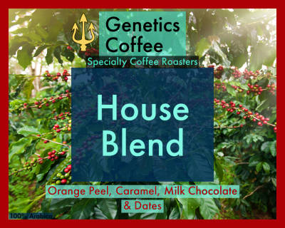 House Blend by Genetics Coffee