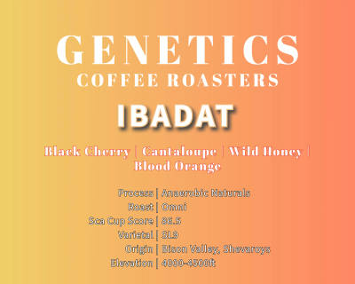 Ibadat by Genetics Coffee