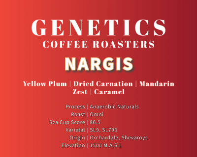 Nargis by Genetics Coffee