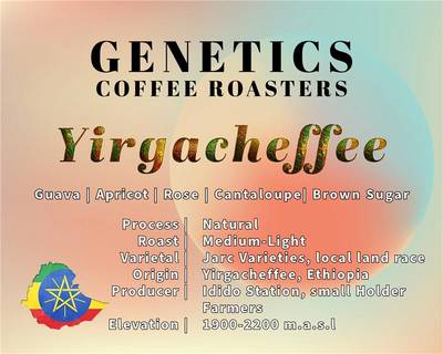Yirgacheffe - Ethiopia by Genetics Coffee
